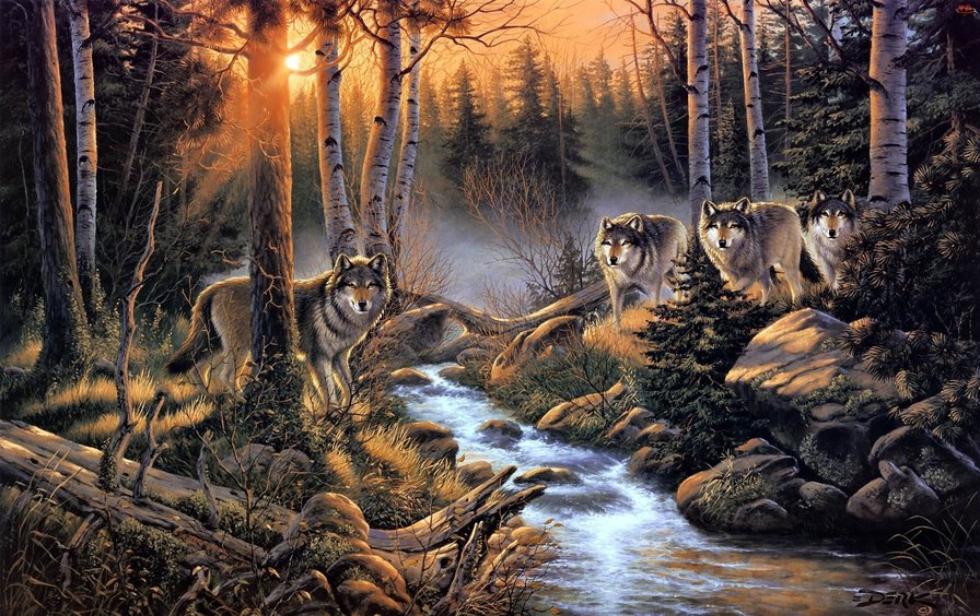 волки в лесу - волки, животные, лес, пейзаж, природа - оригинал
