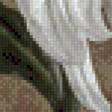 Предпросмотр схемы вышивки «хризантеиа» (№875491)