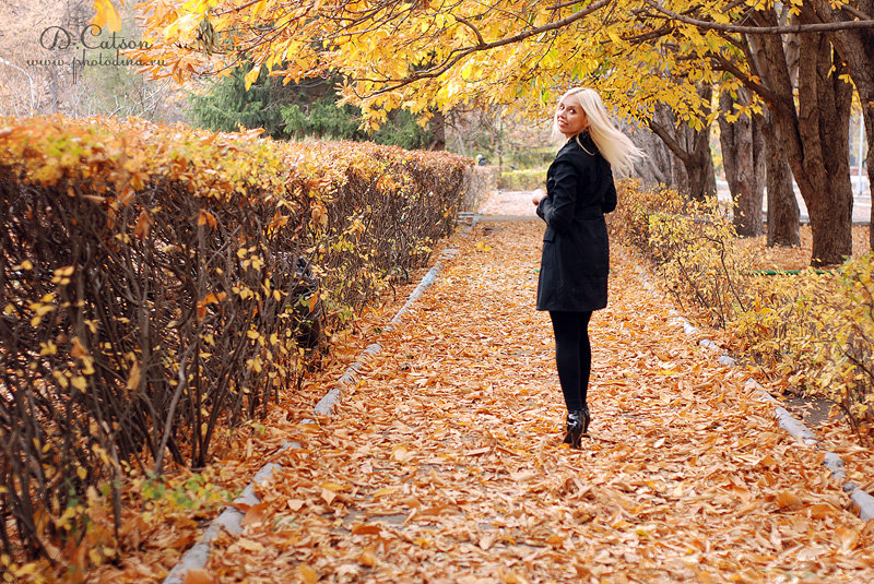 Девушка В Парке Осенью Фото