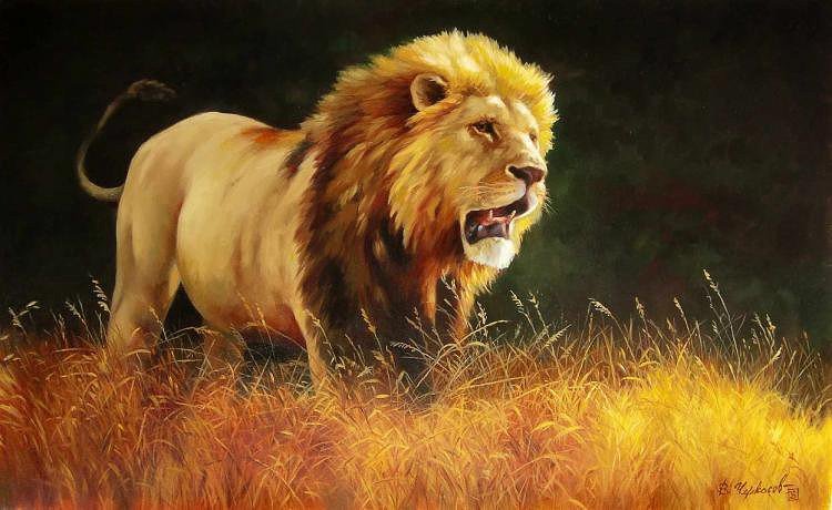 Лев - природа, животные, львы - оригинал