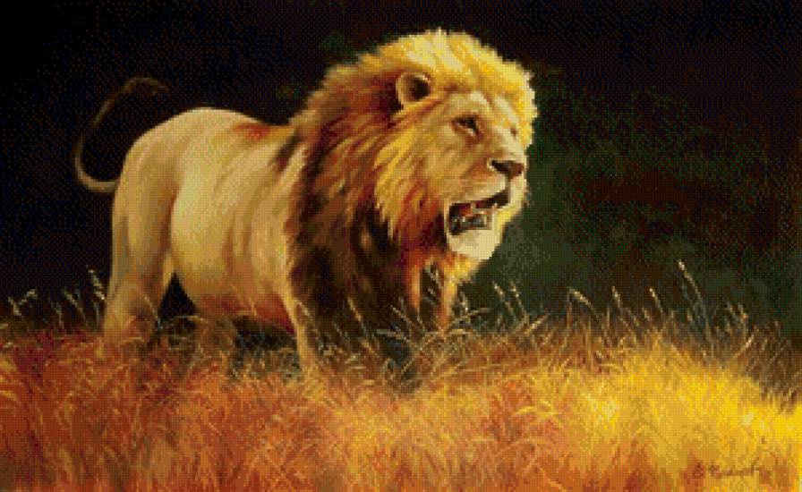 Лев - животные, природа, львы - предпросмотр