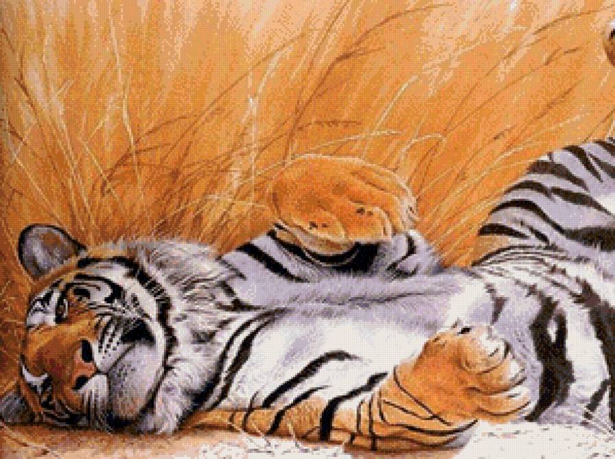 Тигр - животные, тигры - предпросмотр