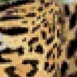 Предпросмотр схемы вышивки «Леопард с малышом» (№875682)