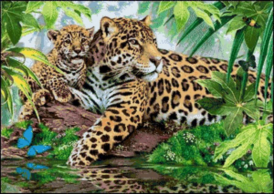 Леопард с малышом - животные, леопард, лес - предпросмотр