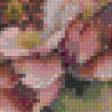 Предпросмотр схемы вышивки «цветы» (№875685)
