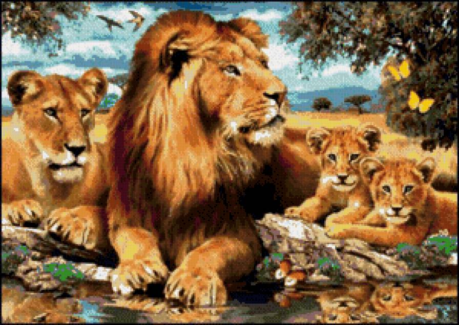 Львиное семейство - природа, животные, львы - предпросмотр