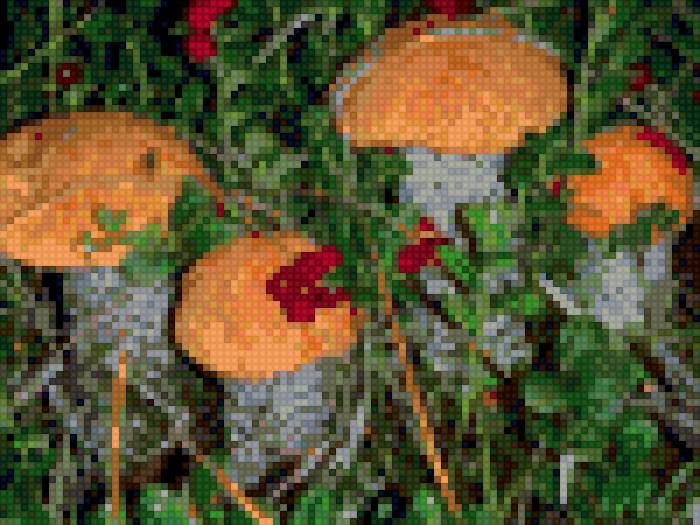 дары осени - грибы - предпросмотр