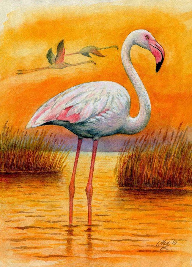 фламинго - пара, живопись, птицы, арт, фламинго - оригинал