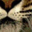 Предпросмотр схемы вышивки «Прыжок тигра.» (№879102)