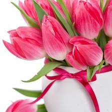 Оригинал схемы вышивки «розовые тюльпаны» (№879227)