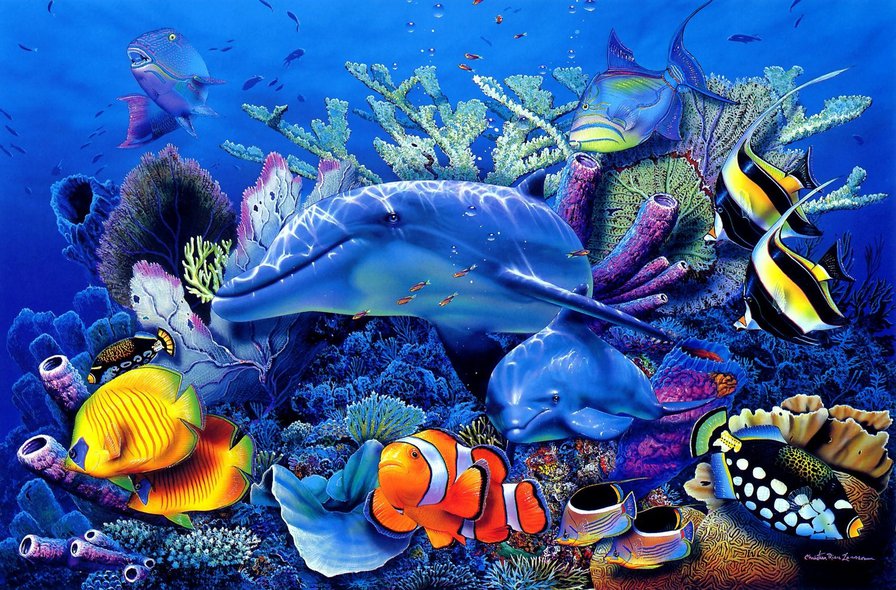 краски морского дна - море, океан, краски, дельфин, рыбы, водоросли, дно - оригинал