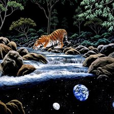 тигр на водопое