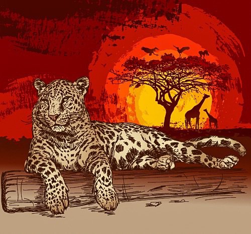 Африка - леопард, африка - оригинал