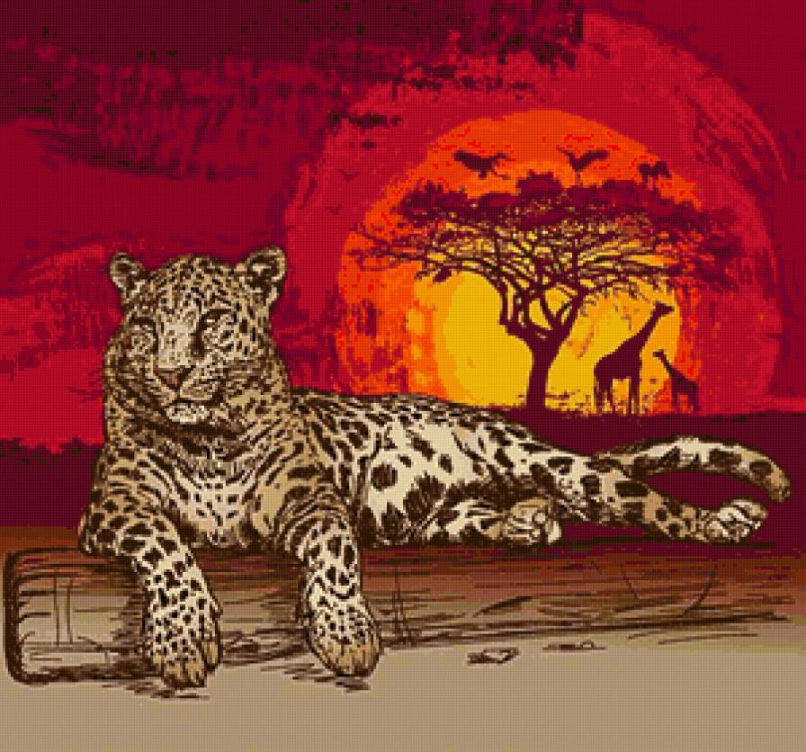 Африка - африка, леопард - предпросмотр