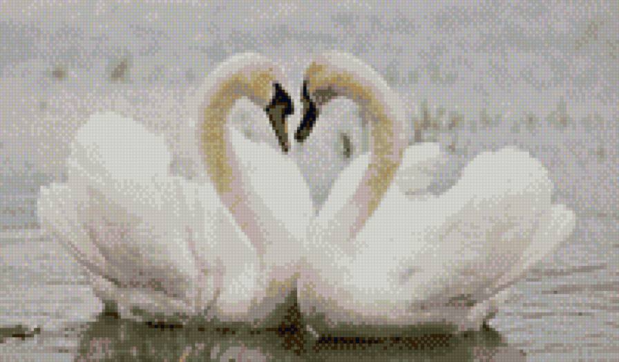 лебеди 2 - любовь, пара - предпросмотр