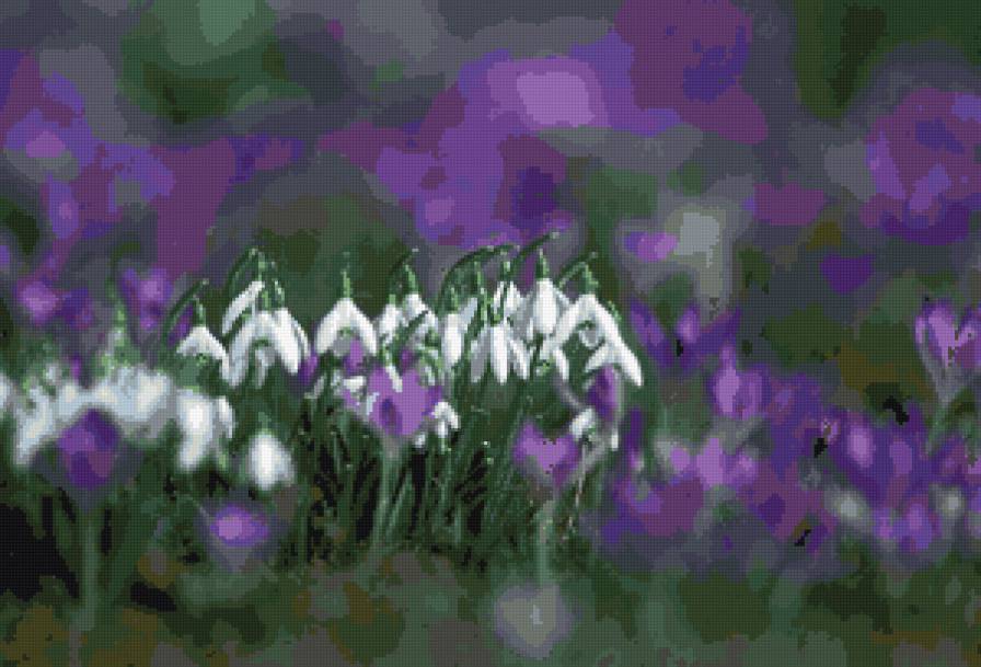 Подснежники - подснежники, цветы, весна - предпросмотр