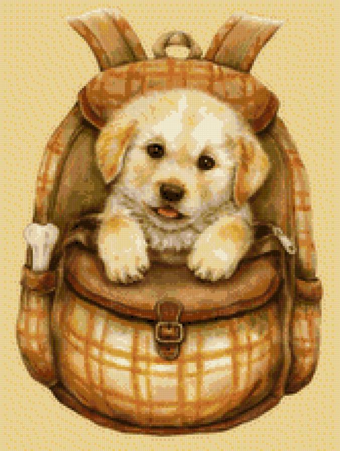 Собачка в рюкзачке - предпросмотр