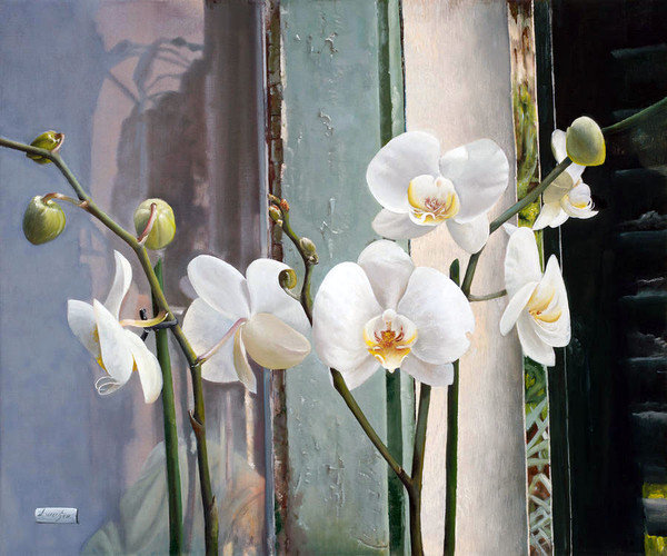 Орхидея белая - оригинал