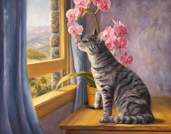 Розовая орхидея - кошка, орхидея - оригинал