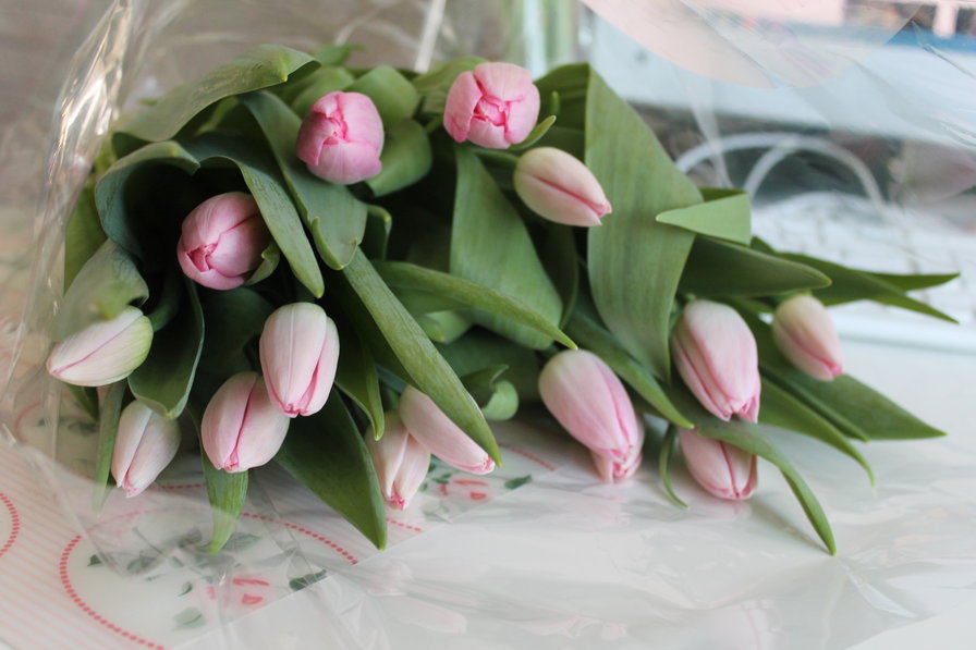 8 марта - букет, 8 марта, тюльпаны - оригинал