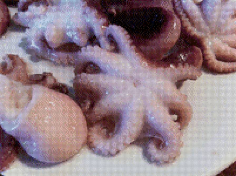 приятного аппетита - море продукты, осьминоги, блюдо, кухня, еда - предпросмотр