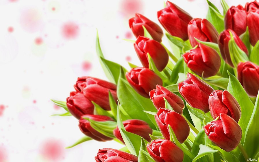 Букет - весна, букет, цветы, тюльпаны - оригинал