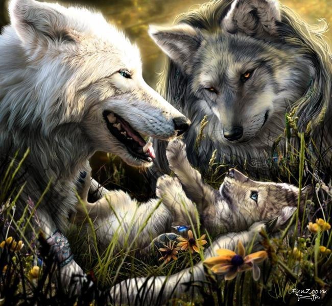Волки - животные - оригинал
