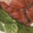 Предпросмотр схемы вышивки «роза» (№880802)
