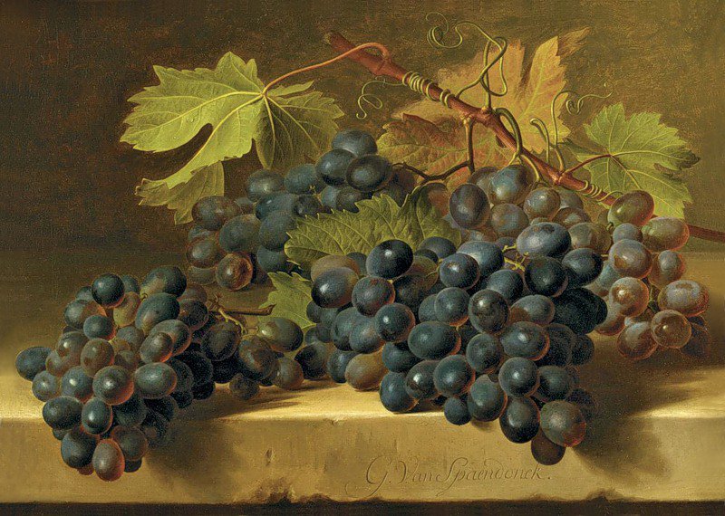 Виноград - натюрморт, фрукты - оригинал