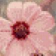 Предпросмотр схемы вышивки «цветы» (№881041)