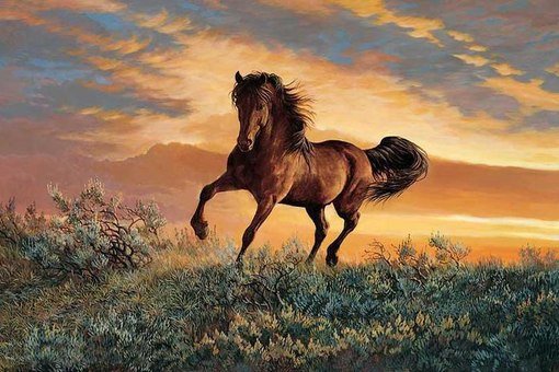 свобода - лошадь, конь, закат, поле - оригинал