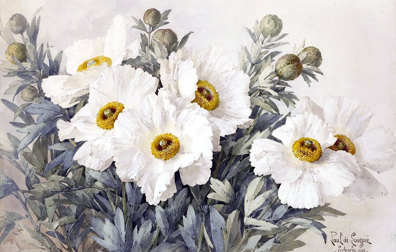 белые цветы - картина, панно, акварель, цветы, живопись - оригинал