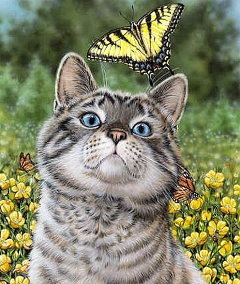 Кот с бабочкой - животные, бабочка, кот, коты - оригинал