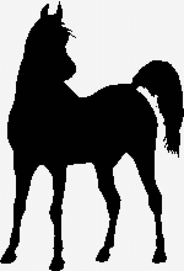 лошадь - лошадь, тень, монохром - предпросмотр