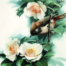 Оригинал схемы вышивки «роза и птичка» (№882881)