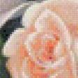 Предпросмотр схемы вышивки «Розы» (№883310)