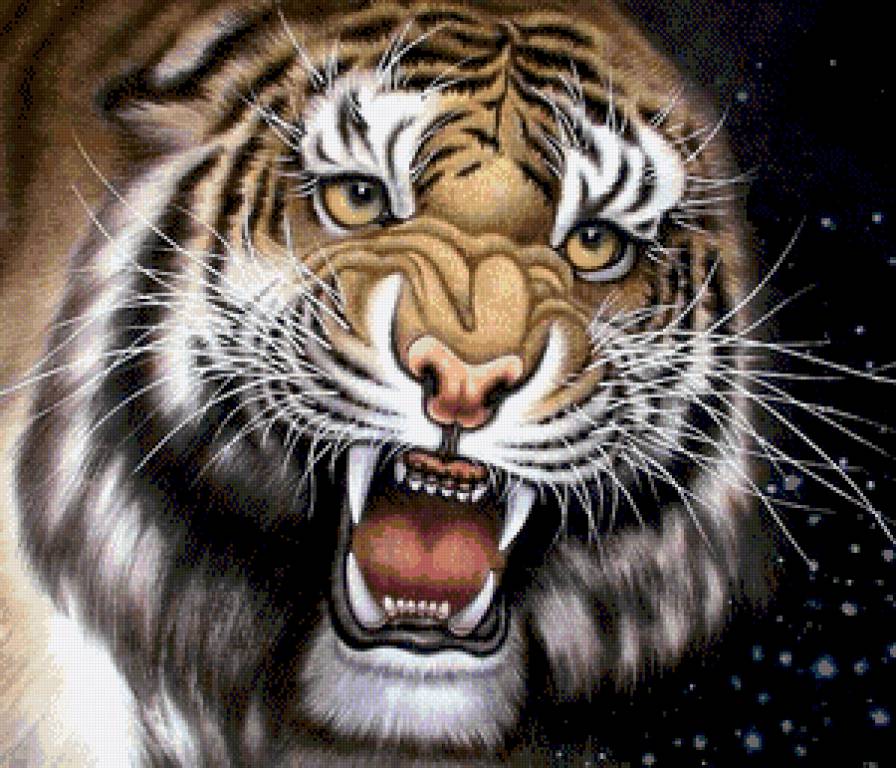 Тигр - дикие кошки, животные, тигр - предпросмотр