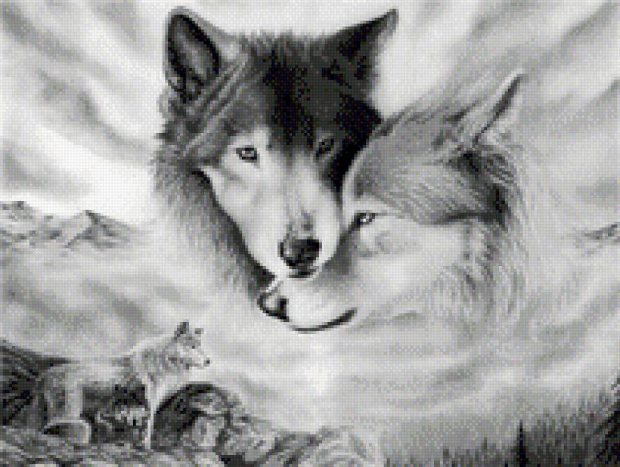 Волки - пара, отношения, животные, верность, любовь, волки - предпросмотр
