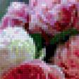 Предпросмотр схемы вышивки «розы» (№885579)