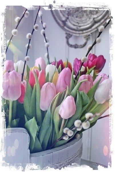 Весна в тюльпанах. - нежность, цветы, весна, тюльпаны - оригинал