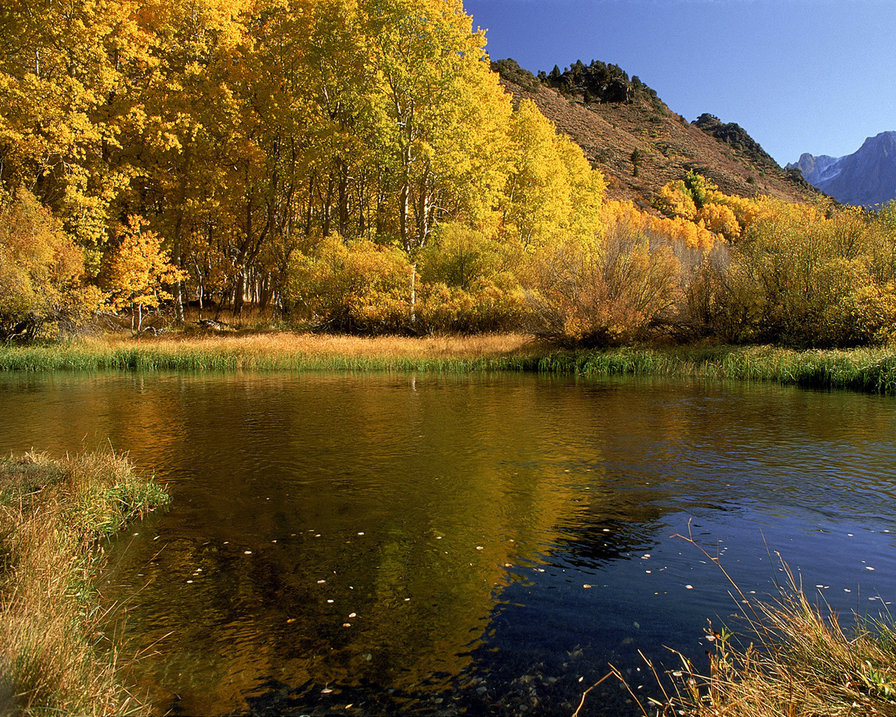 Золотая осень - природа, вода, осень - оригинал