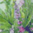 Предпросмотр схемы вышивки «нежные цветы» (№887067)