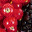 Предпросмотр схемы вышивки «ассорти из ягод» (№887219)