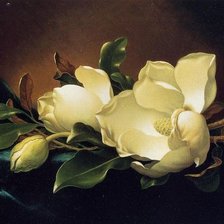 Схема вышивки «Художник MARTIN JOHNSON HEADE»