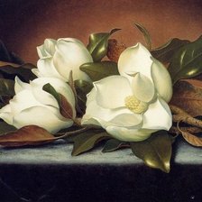 Оригинал схемы вышивки «Художник MARTIN JOHNSON HEADE» (№887356)