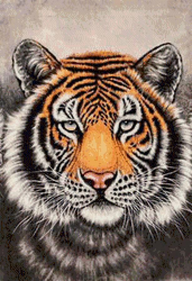 триптих "тигры"( картина №1) - тигры, хищники, триптих, животные - предпросмотр