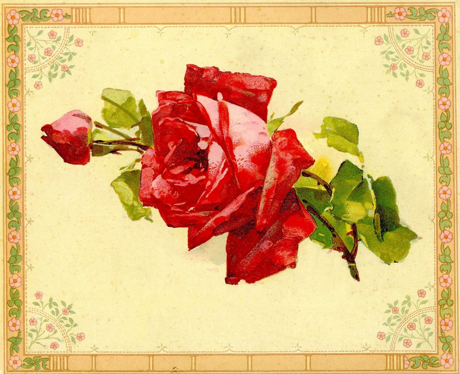 панно с розой - роза, панно, цветок, открытка, арт - оригинал