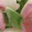 Предпросмотр схемы вышивки «тюльпаны» (№888966)