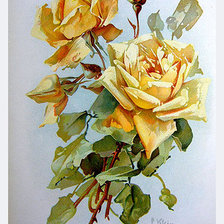 Оригинал схемы вышивки «желтые розы» (№889323)