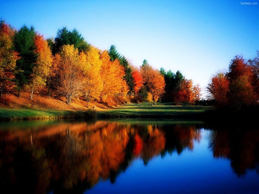 Золотая осень - пейзаж. вода. природа, осень - оригинал